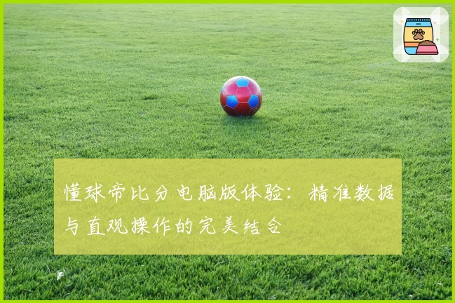 懂球帝比分电脑版体验：精准数据与直观操作的完美结合