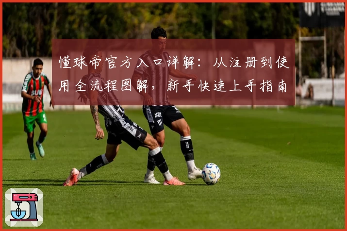 懂球帝官方入口详解:从注册到使用全流程图解,新手快速上手指南